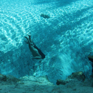 Bodies Like Oceans